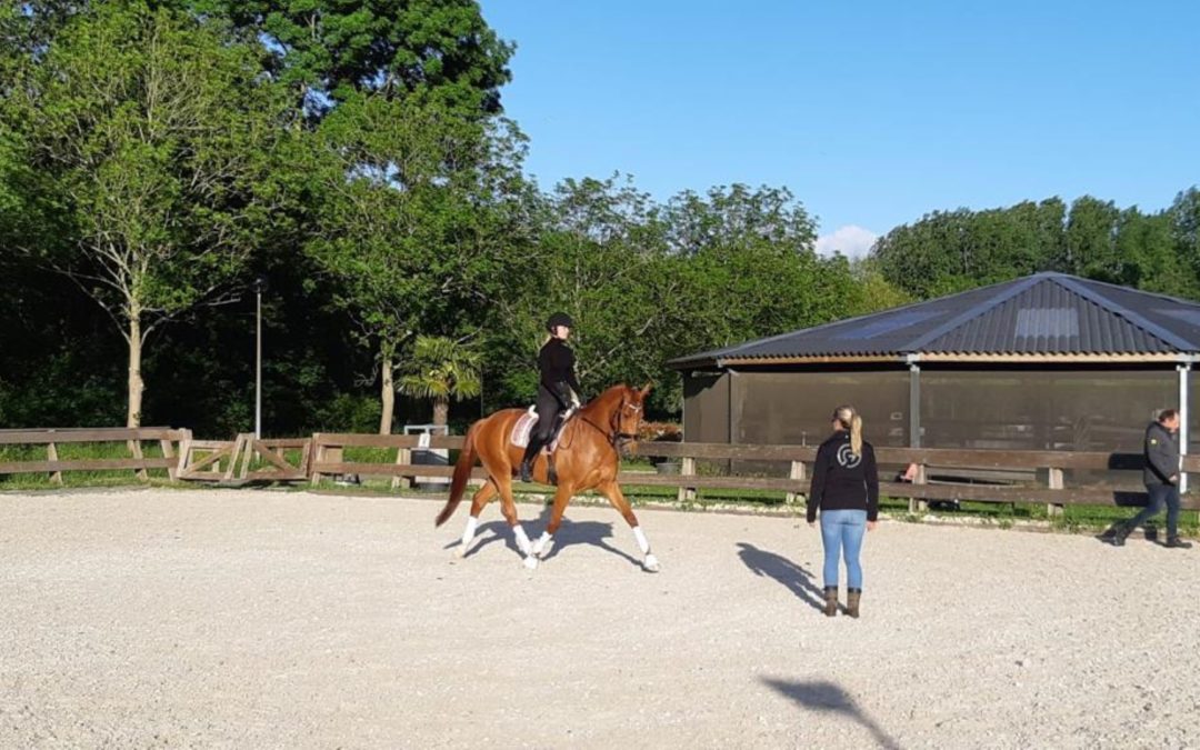 Help, mijn paard is gespannen!